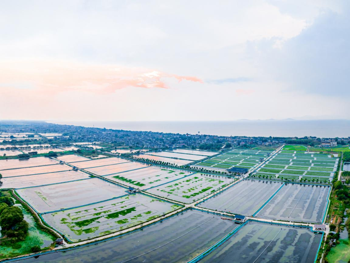 浙江湖州：做強(qiáng)縣域農(nóng)業(yè)主導(dǎo)產(chǎn)業(yè) 促進(jìn)農(nóng)業(yè)生態(tài)產(chǎn)品價(jià)值實(shí)...